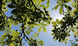 Слънчево начало на седмицата