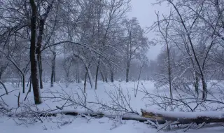 Зимна буря причини прекъсвания на електрозахранването и затваряне на пътища в Украйна