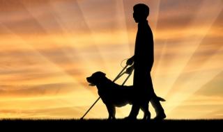 Притча за един прекрасен ден