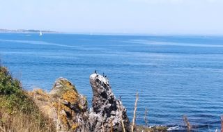 Затоплянето продължава