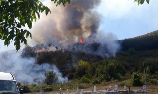 Потушиха пожарите в района на Кричим
