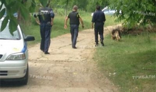 Полицаи гонеха бегълци в гора край Враца