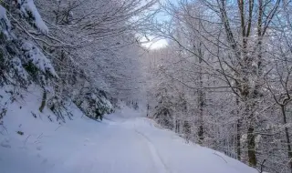 Weather today, forecast for Saturday, January 31: Windy, rain and snow in Western Bulgaria 