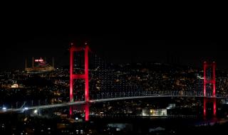 Гръм в Турция! Министър хвърли оставка и поиска прошка от Ердоган