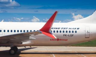Boeing 737 Max 8 обърка плановете на Азия