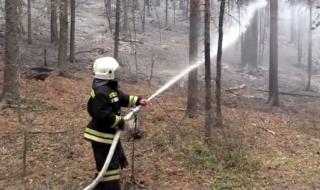 Огромни пожари горят в Сибир
