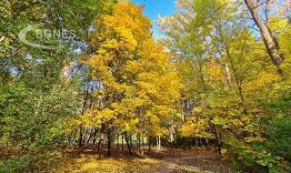 Остава необичайно топло за сезона