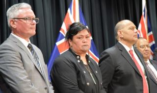 Разнообразно правителство в Нова Зелания