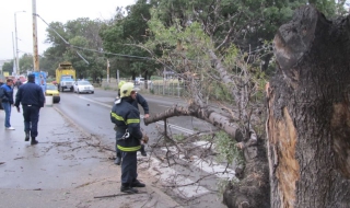Жълт код в 11 области на страната