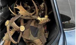 Задържаха незаконни ловни трофеи и дърва за огрев при акция в Приморско
