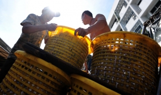 Икономически най-свободните държави