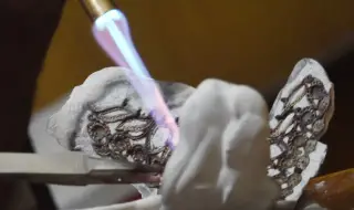 Среброто изпреварва Microsoft по пазарна капитализация