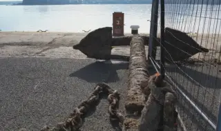 A huge anchor from the Crimean War was discovered in the Gulf of Tsarevo 