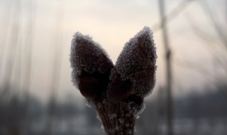 Облачно и ветровито