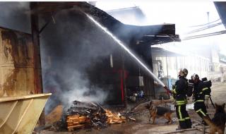 Големи щети след пожар в цех за пелети в Монтанско