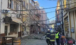 Съветите на пожарната заради силния вятър в страната: Не стойте на открито. Има опасност от падащи предмети
