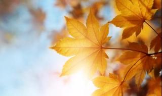 Слънце и днес