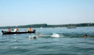 150 души преплуваха Дунав