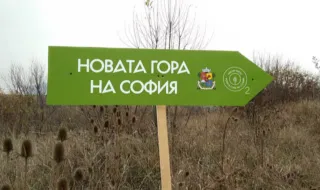 Временна автобусна линия ще осигурява достъп до „Новата гора на София“ край Банкя