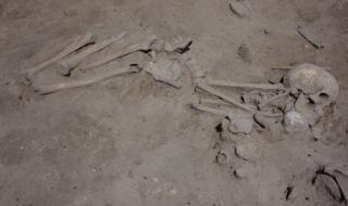 Археолози от БАН откриха гроб на 7600 години