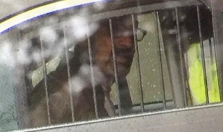 Расист уби трима в Канзас