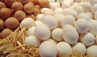 Неконсумирани яйца от католическия Великден могат да достигнат до потребителите
