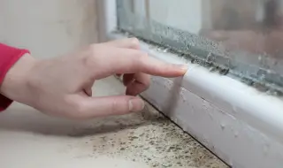 Лесен начин да се справите с конденза по прозорците вкъщи