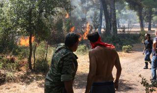 МВнР: Огънят край Вилия в Гърция продължава да се разраства