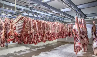 Втора незаконна кланица в Дебелец с 600 кг опасно месо