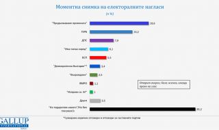 "Галъп": Ерозия на подкрепата при ИТН, загуба на авторитет при БСП и ДБ 