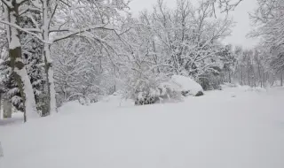 Времето днес, прогноза за понеделник, 2 февруари: Студ и снеговалежи в цялата страна