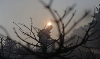 Протести в Атина заради горските пожари