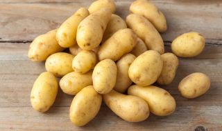 Горещините свиват реколтата от картофи в Европа
