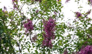 Времето днес, прогноза за вторник, 25 април: Навлиза студен фронт, ще вали дъжд