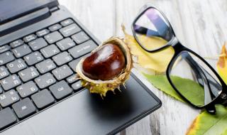 Кестените - съкровище за здравето ни