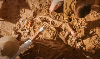 Учени откриха динозавър на 150 млн. години в китайската провинция Фуцзян (СНИМКА)