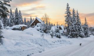 Две деца избягаха от руска детска градина при -45 градуса