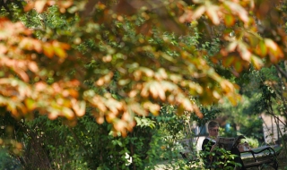 Лятото се завръща в неделя