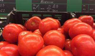 Доматите удариха 10-годишен пик по скъпотия