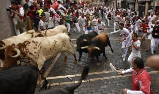 Бикове газят хора в Испания (ВИДЕО+СНИМКИ)