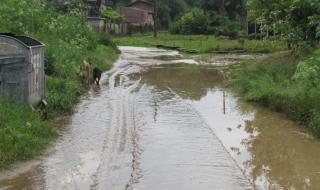 Бедствено положение във Ветрино