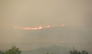 Голям горски пожар гори край Своге