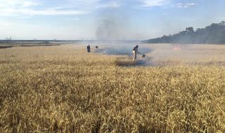 Кражби за милиони: как Русия плячкосва житото на Украйна