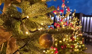 Кметът Васил Терзиев ще запали днес Коледната елха на София