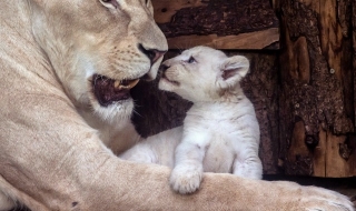 21 февруари: Светът в снимки