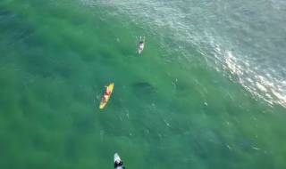Акула плува под австралийски сърфисти (ВИДЕО)