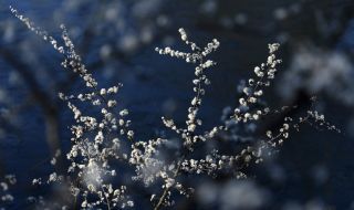 Слънчев вторник, затоплянето продължава