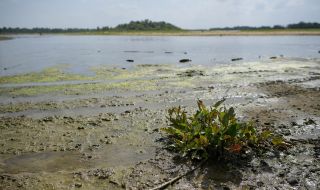 Нивата на реките в Англия са рекордно ниски за последните 21 години