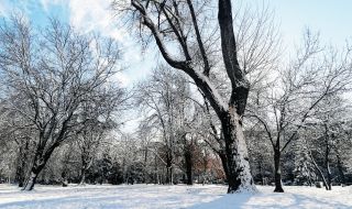 Облачна събота, ще вали сняг в Предбалкана и планините