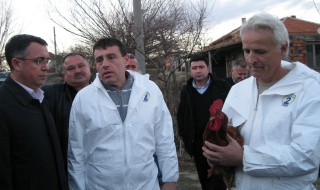 Обезщетиха стопаните на умъртвените птици от село Звиница